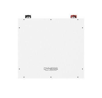 Акумуляторна батарея Dyness DL5.0C Heating (5,12 кВт*год/ 51,2 В) DL5.0C  фото